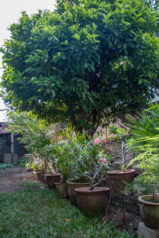 Cozy Mount Erskine Homestay George Town Exterior foto